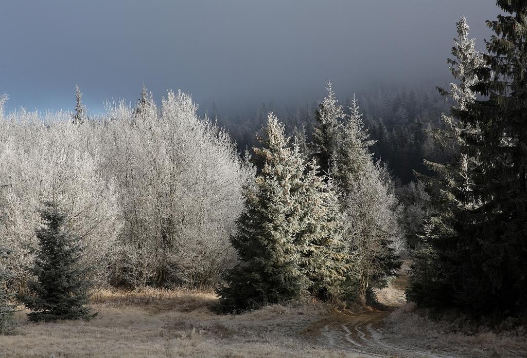 Domek Buflak Nowy Targ Pokoj fotografie
